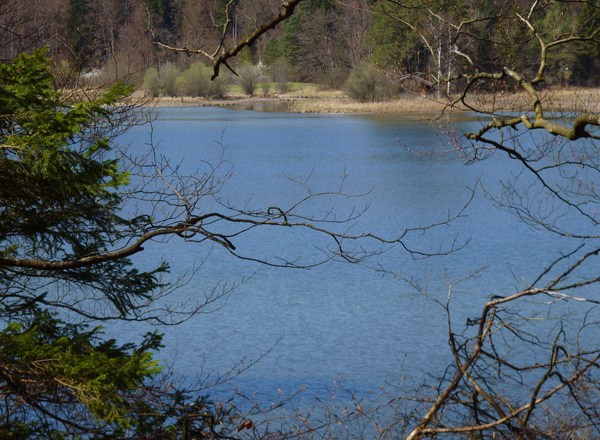 Ab und zu eröffnet sich - trotz der vielen Bäume - auch vom Ostufer ein freier Blick über den Frechensee.