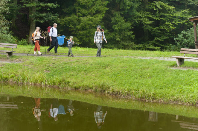 Wandern vorbei am Waldsee von Heimbuchenthal