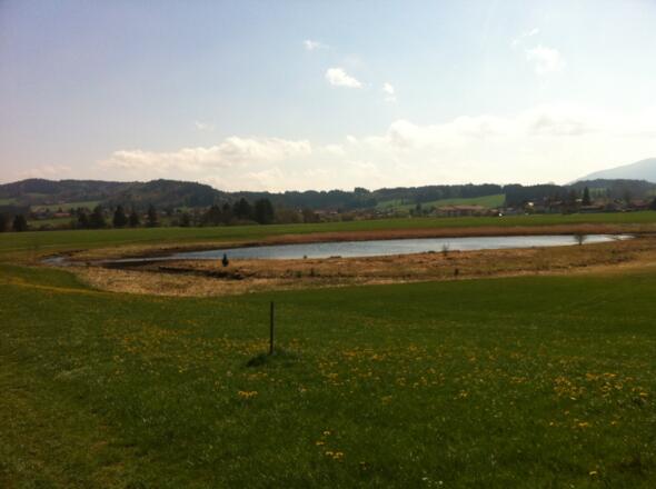 Der Storchenmoosweiher im malerischen Voralpenland.