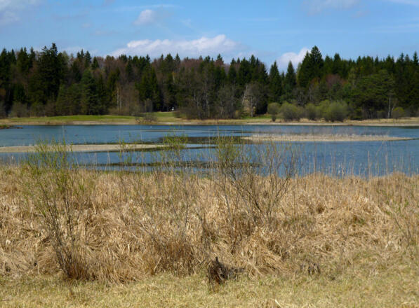 Wunderschöner Blick über den malerisch gelegenen Frechensee.