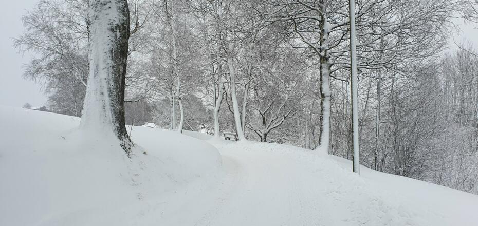 Rochusfeld Richtung Rochuskapelle