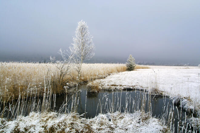 Winterwanderweg Pulvermoos