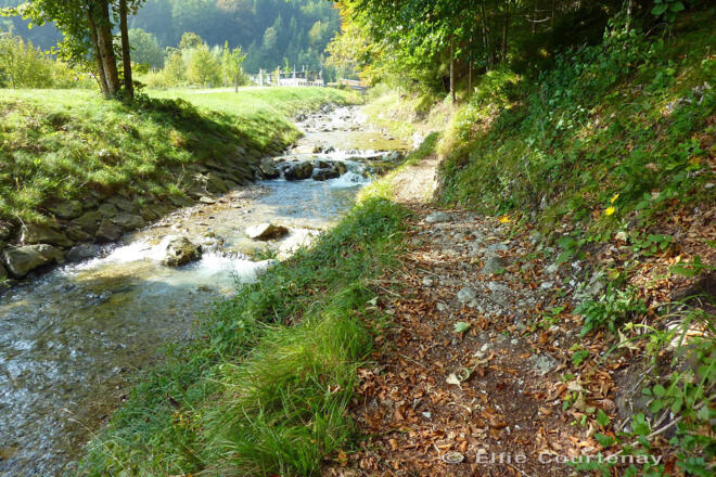 Fernwanderweg - Meditationsweg, 6. Etappe - Am Gießenbach