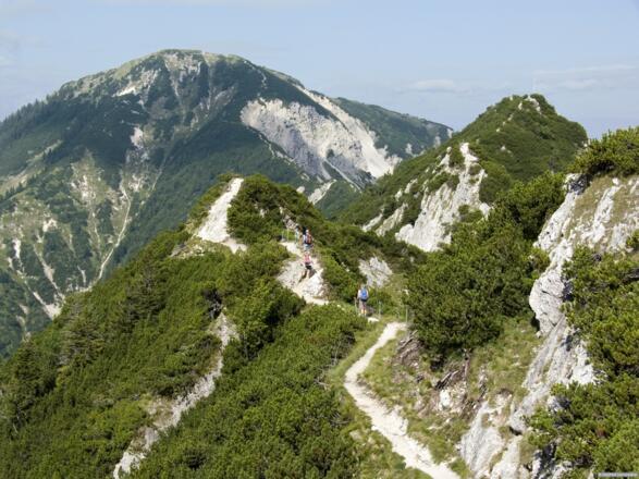 Am Grat zum Heimgarten