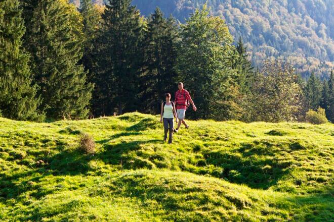 Wanderung - Boschet-Rundweg - Wandern in Ohlstadt