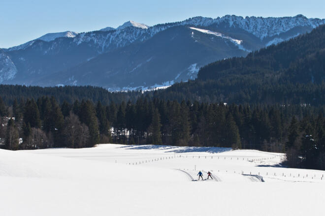 Langlaufloipe Saulgruber Runde