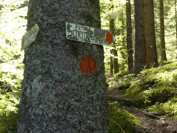 Abzweigung Schergensteig