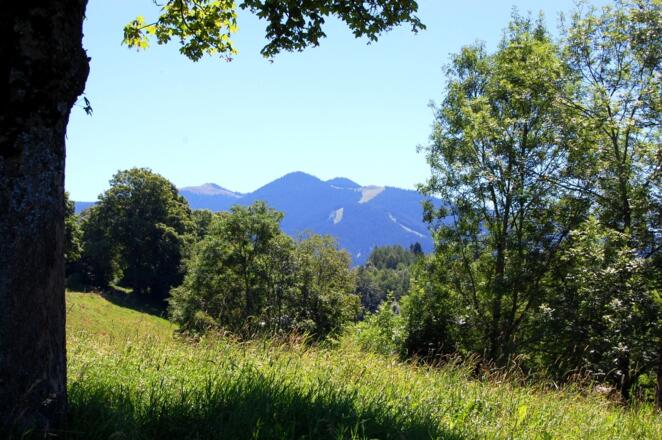 endlich die erwarteten Berge