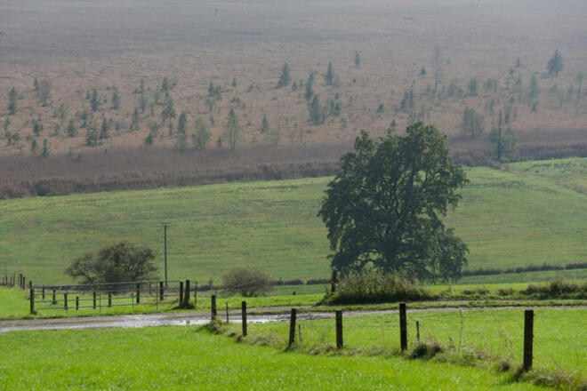 Fernwanderweg - Meditationsweg, erste Etappe - Murnauer Moos