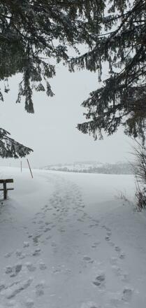 Hinterkehr nach Rochusfeld
