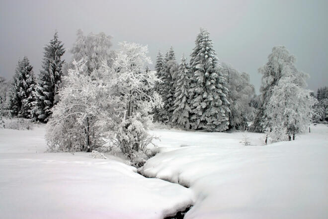 Winterwanderweg Pulvermoos