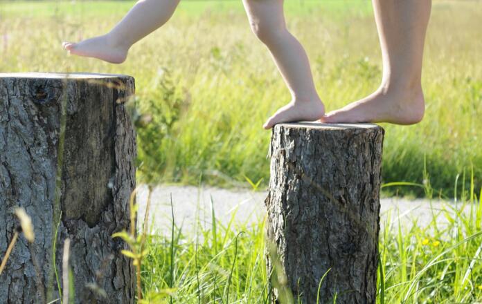 Schritt für Schritt von Baum zu Baum