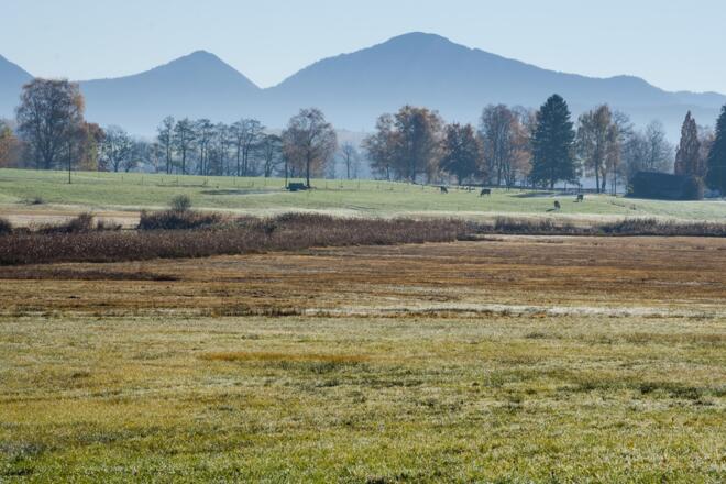 Wanderung Kleine Staffelsee-Schleife - Feuchtgebiet bei Uffing