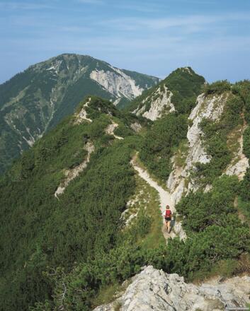 Am Grat zum Heimgarten