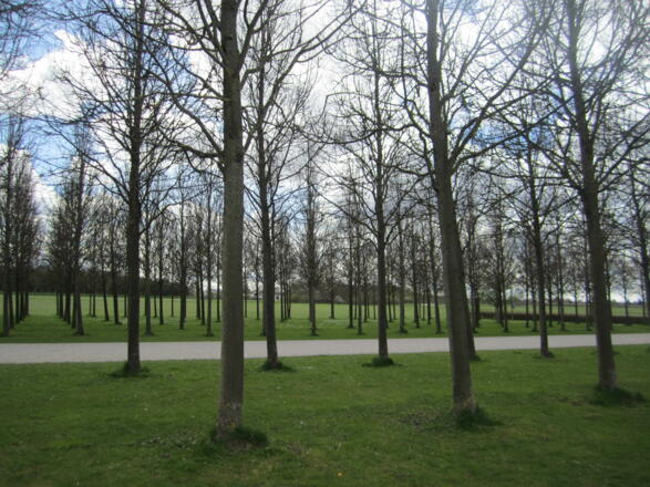 Parallele Gärten im Riemer Park