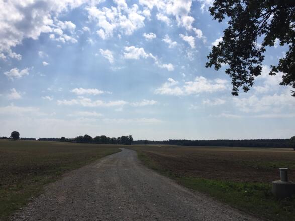 Beschilderung Wolfersberg/Grafing folgen