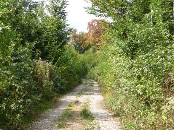 Teilweise schlechte Wege, Weßling Richtung Wörthsee
