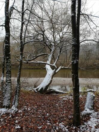 Weg entlang der Isar