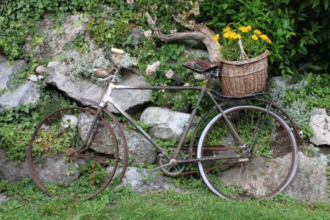 Rund ums Rad - auch als Deko 