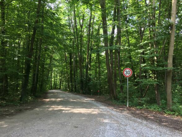 Schotterweg nach Buch