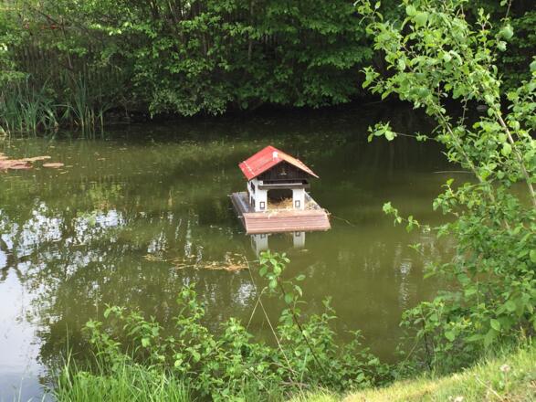 Weiher in Ebertshausen