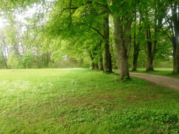 In der Nähe des Golfareals bei Pähl