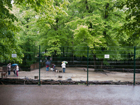 Streichelzoo im Tierpark Hellabrunn