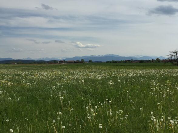 Super Panorama bei Aufhofen
