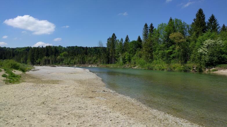 Isar