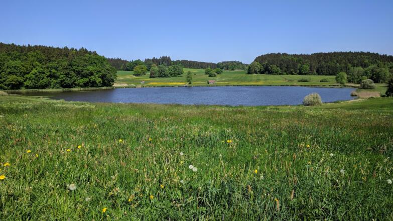 Weiher Sonderham