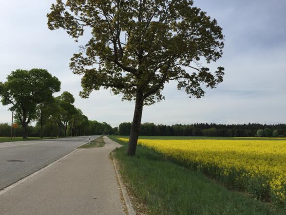 Radweg Sauerlach Richtung Holzkirchen