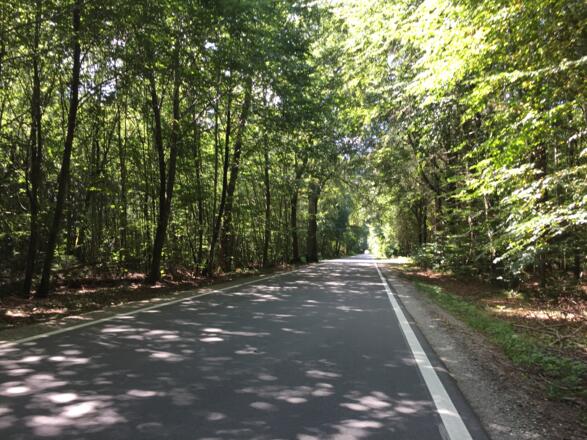 Straße nach Großdingharting