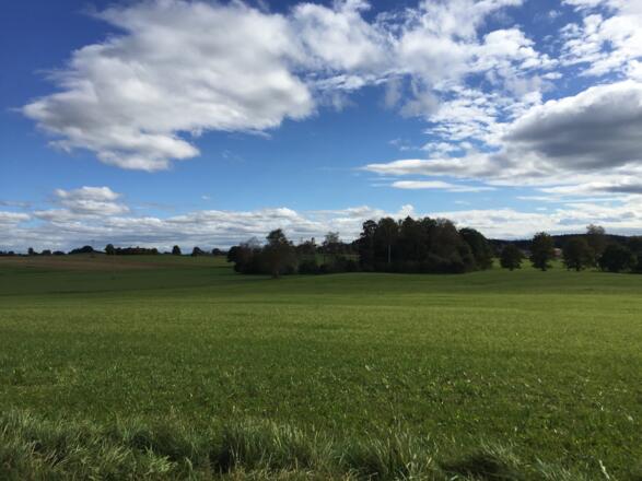 Machtlfing im Hintergrund