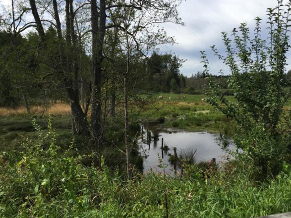 Unterfilz bei Quarzbichl