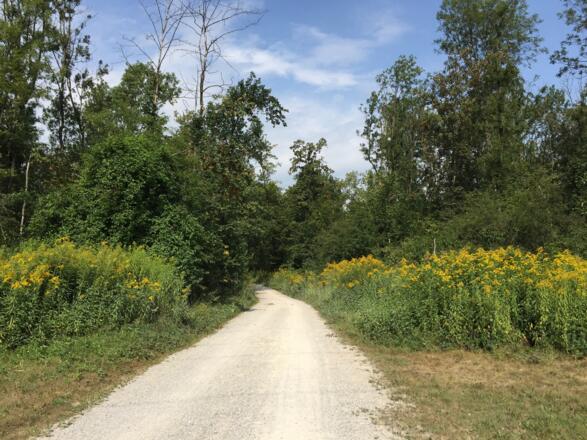 Richtung Dirnismaning