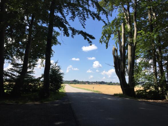 Großdingharting in Sicht