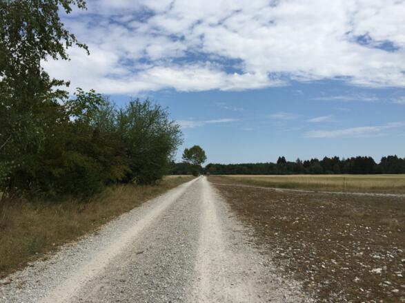 Heide im Münchner Norden