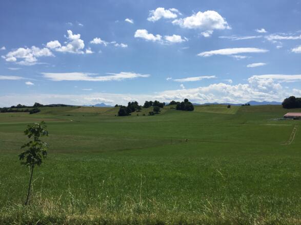 Bei Kleinhartpenning