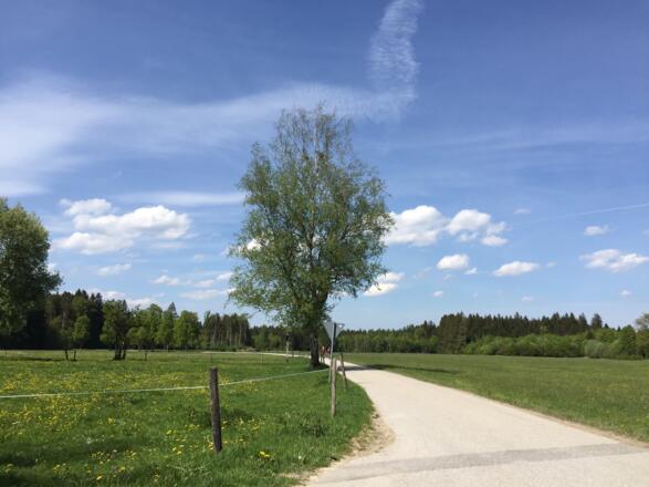 Von Dietenhausen nach Lochen