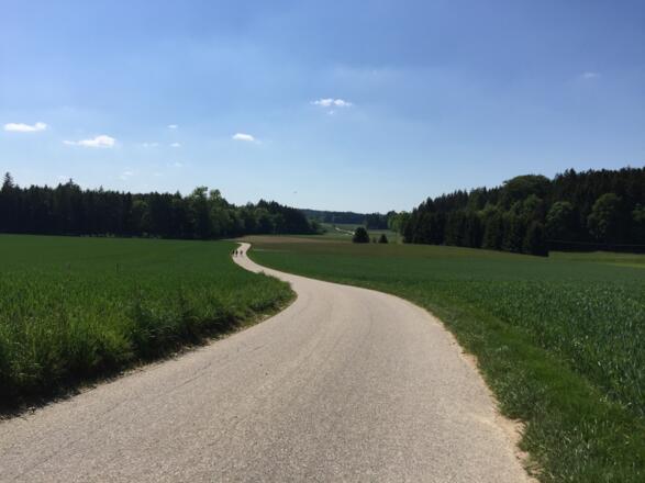 Ruhige Straße von Kreuz nach Lindach
