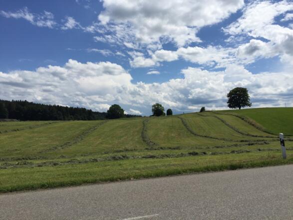 Oberwarngau - Richtung Osterwarngau