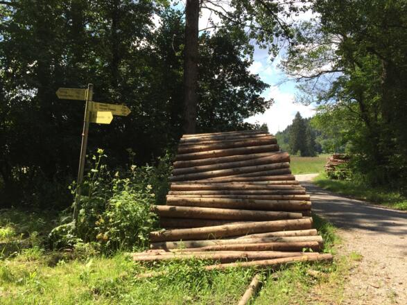rechts abbiegen Richtung Isarauen