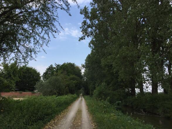 Richtung Dirnismaning am Schleißheimer Kanal