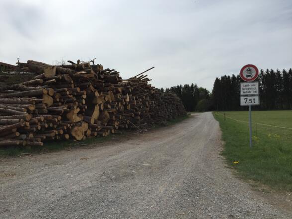 Gumpertsham links, Forstweg nach Baiernrain