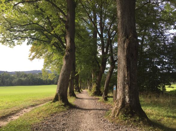 Radweg bei Klinik Höhenried  Richtung Tutzing