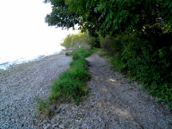 Ufer-Trail nördlich Breitbrunn