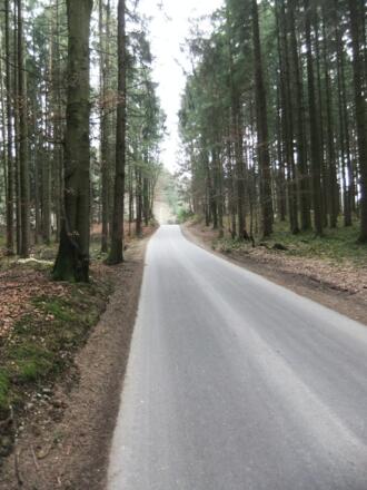 Strasse nach Kaltenbrunn