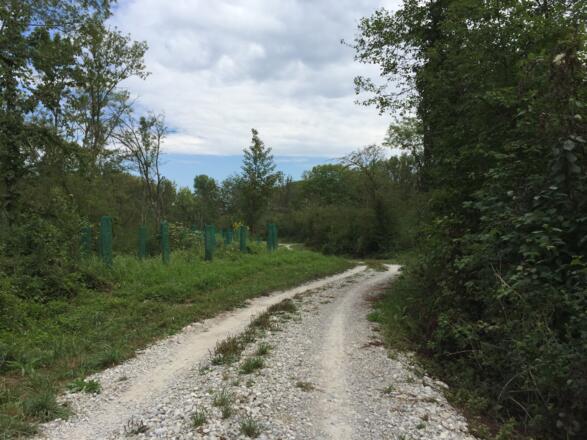 Vom Dietersheim zum Isarradweg
