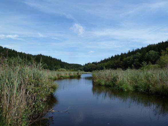 Deininger Weiher im Süden