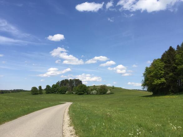 Einsame Straße Richtung Thanning